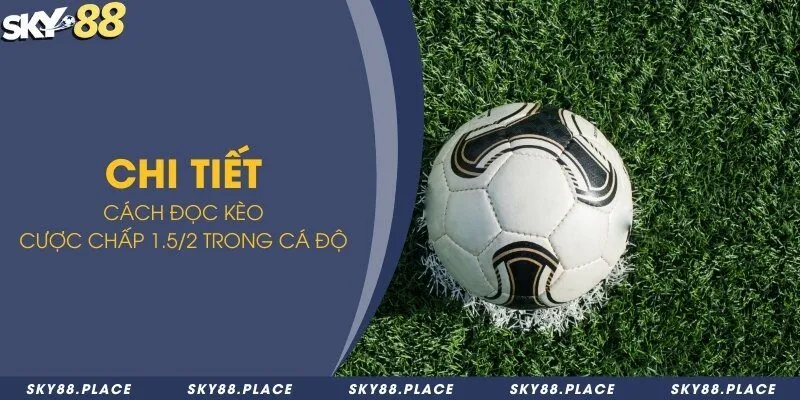 Chi tiết cách đọc kèo cược chấp 1.5/2 trong cá độ