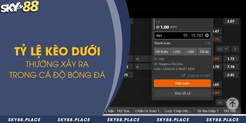 Kèo dưới là gì? Tổng hợp những tỷ lệ kèo dưới thường gặp 2 Tỷ lệ kèo dưới thường xảy ra trong cá độ bóng đá